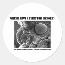 Where Have I Seen This Before? Pyralid Moth Round Stickers