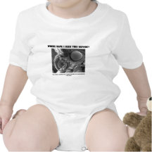 Where Have I Seen This Before? Pyralid Moth Baby Bodysuit