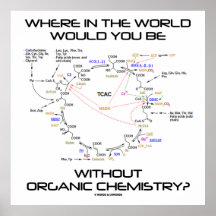 Where In The World You Without Organic Chemistry? Poster