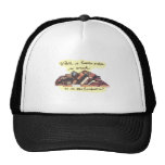 Where is Human Nature so Weak as in the Bookstore? Hat