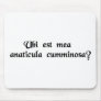 Where is my rubber ducky? mousepads