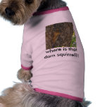 Where is that darn squirrel?! Dog T-shirt pet clothing