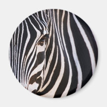 Where Is The Zebra? Fridge Magnet