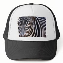 Where Is The Zebra? Hats