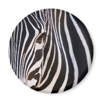 Where Is The Zebra? Fridge Magnet