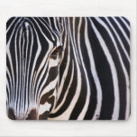 Where Is The Zebra? Mousepad