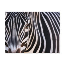Where Is The Zebra? Postcard