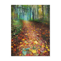 Where leaves gather,postcards