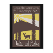 where the deer and antelope play postcards