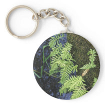 Where The Green Fern Grows