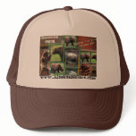 Where the wild things are hat