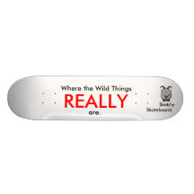 Where they are skateboards