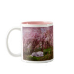 Where Unicorns Dream Mug