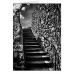 Where Your Steps Lead blank Note Card