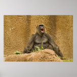 Wheres My Banana? posters