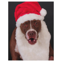 Where's my cookies? full color flyer