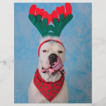 Where's my egg nog? full colour flyer