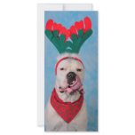 Where's my egg nog? rack cards