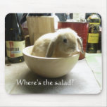 Where's the salad?