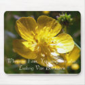 Wherever I am, You are there also mousepads