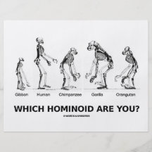 Which Hominoid Are You? (Hominid Skeletons) Personalized Flyer