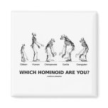 Which Hominoid Are You? (Hominid Skeletons) magnets