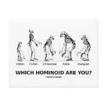 Which Hominoid Are You? (Hominid Skeletons) postcards