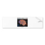 Which Neural Pathway Are You On? Bumper Stickers
