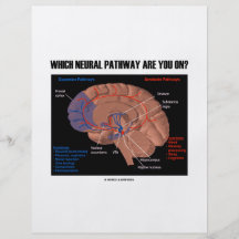 Which Neural Pathway Are You On? Flyers