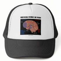 Which Neural Pathway Are You On?