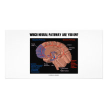 Which Neural Pathway Are You On? Customized Photo Card