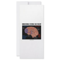 Which Neural Pathway Are You On?