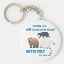 Which one will dissolve in water Polar Chemistry Key Chains