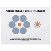 Which Orange Circle Is Larger? (Optical Illusion)