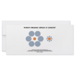 Which Orange Circle Is Larger? (Optical Illusion) rack cards
