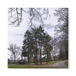 Which Road To Take-Sketched Refrigerator Magnet