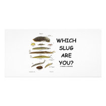 Which Slug Are You?