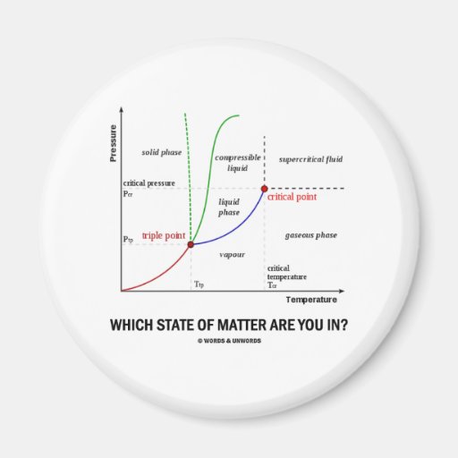 Which State Of Matter Are You In? (Chemistry) Refrigerator Magnet
