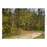 Which Trail To Take-Sketced Version Greeting Cards