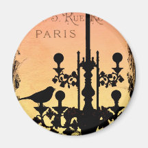 *WHiMSiCaL PaRiS MaGNeT*