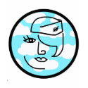 Whimsical Retro Stewardess t-shirts