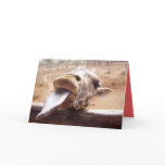 WHIMSICAL VALENTINES DAY GREETING CARDS - GIFTS