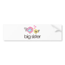 Whimsy Birds Big Sister T-shirt Announcement