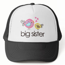 Whimsy Birds Big Sister T-shirt Announcement