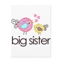 Whimsy Birds Big Sister T-shirt Announcement