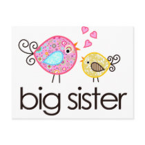 Whimsy Birds Big Sister T-shirt Announcement