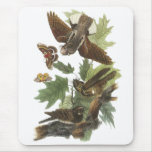 Whip-poor-will, John Audubon Mousepads