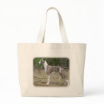 Whippet 9R046D-085 bags