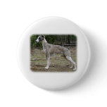 Whippet 9Y205D-224 buttons