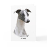 Whippet 9Y205D-231 cards